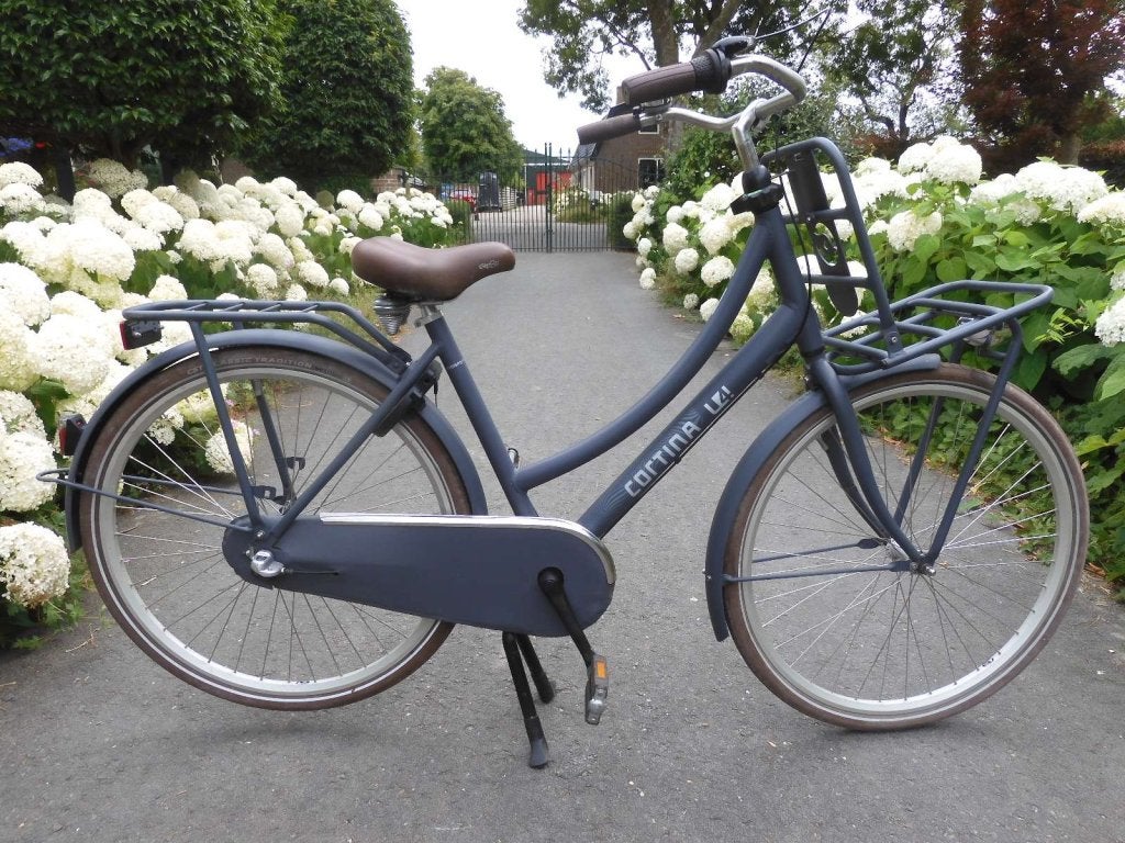 Mooie matgrijze Cortina U4 , 3 versnellingen en 50 frame, Fietsen en Brommers, Fietsen | Dames | Damesfietsen, Ophalen, Terugtraprem
