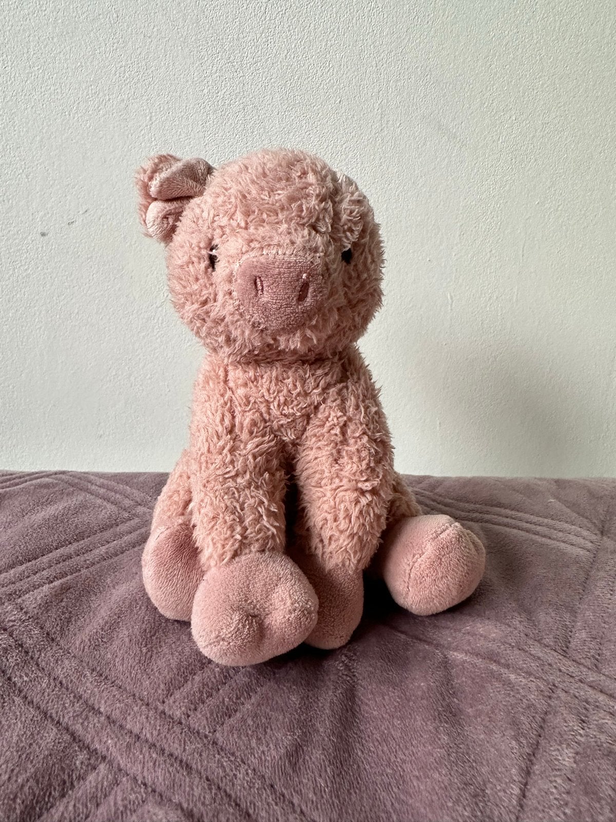 Little Dutch Knuffel Varken Roze, Kinderen en Baby's, Gebruikt, Little Dutch, Overige typen, Ophalen of Verzenden
