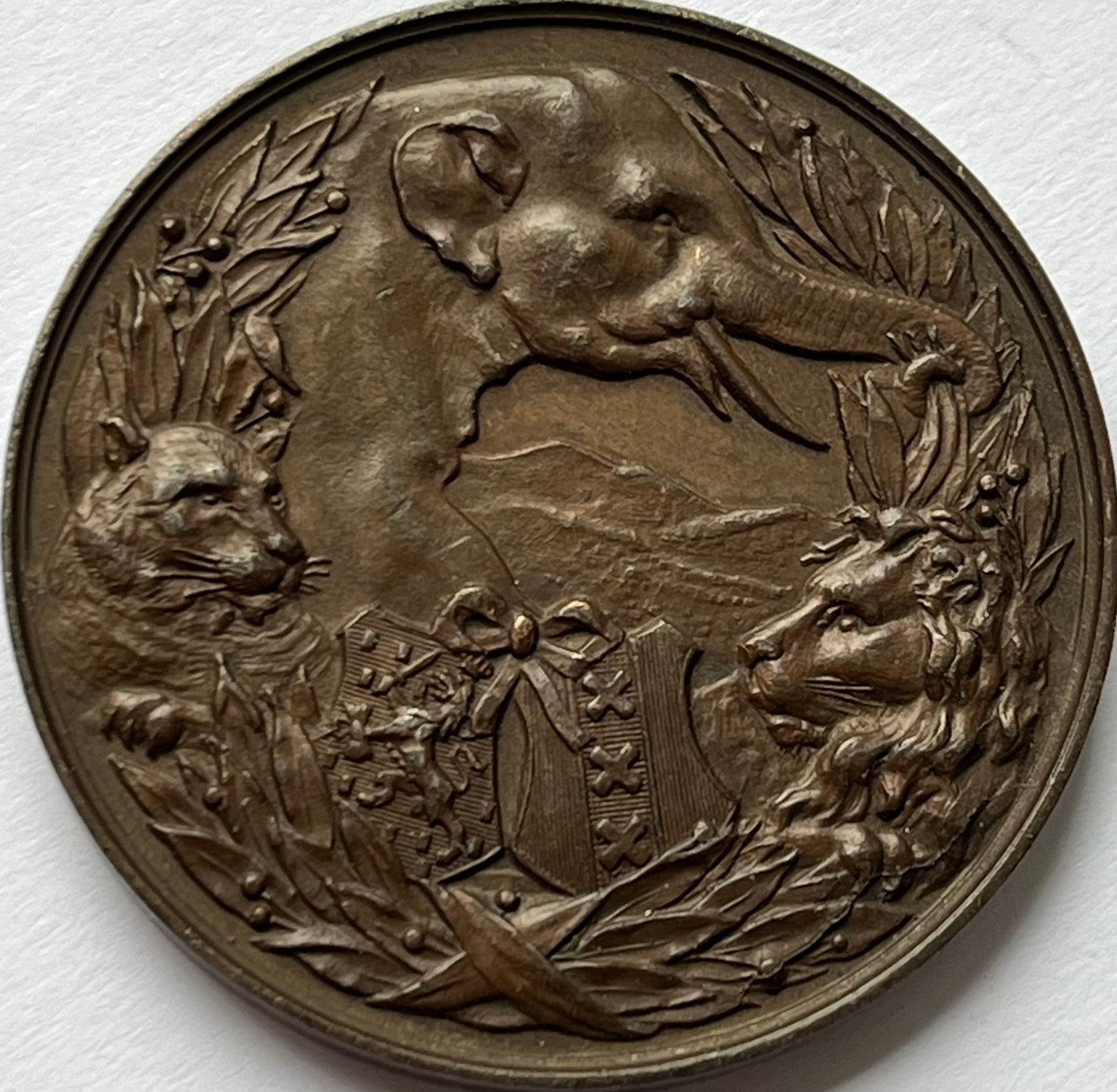Grote penning Natura Artis 1888 hoge kwaliteit, Ophalen of Verzenden, Brons, Nederland