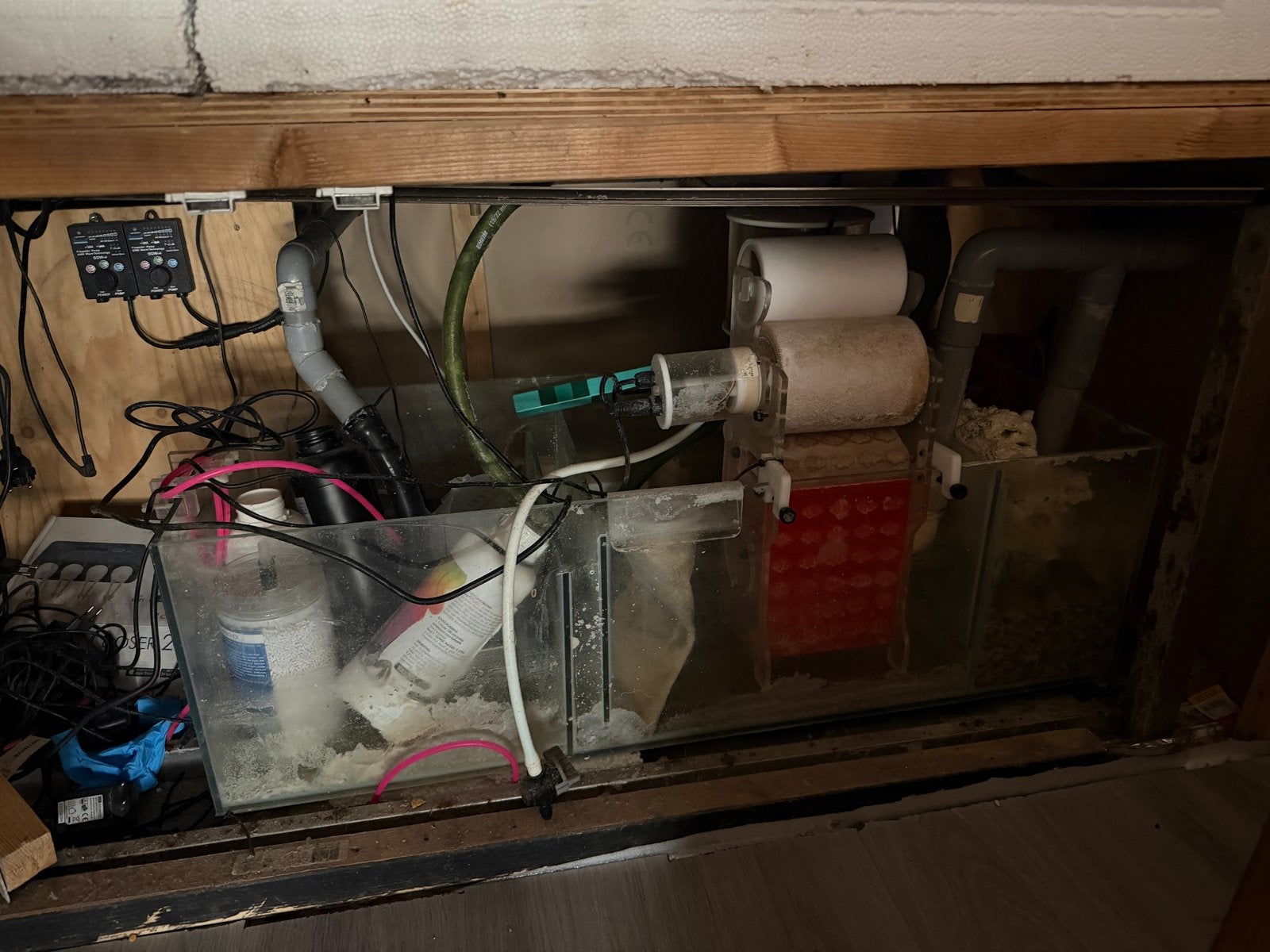 Grote zeeaquarium sump + eiwitafschuimer, Ophalen, Gebruikt, Gevuld zeewateraquarium