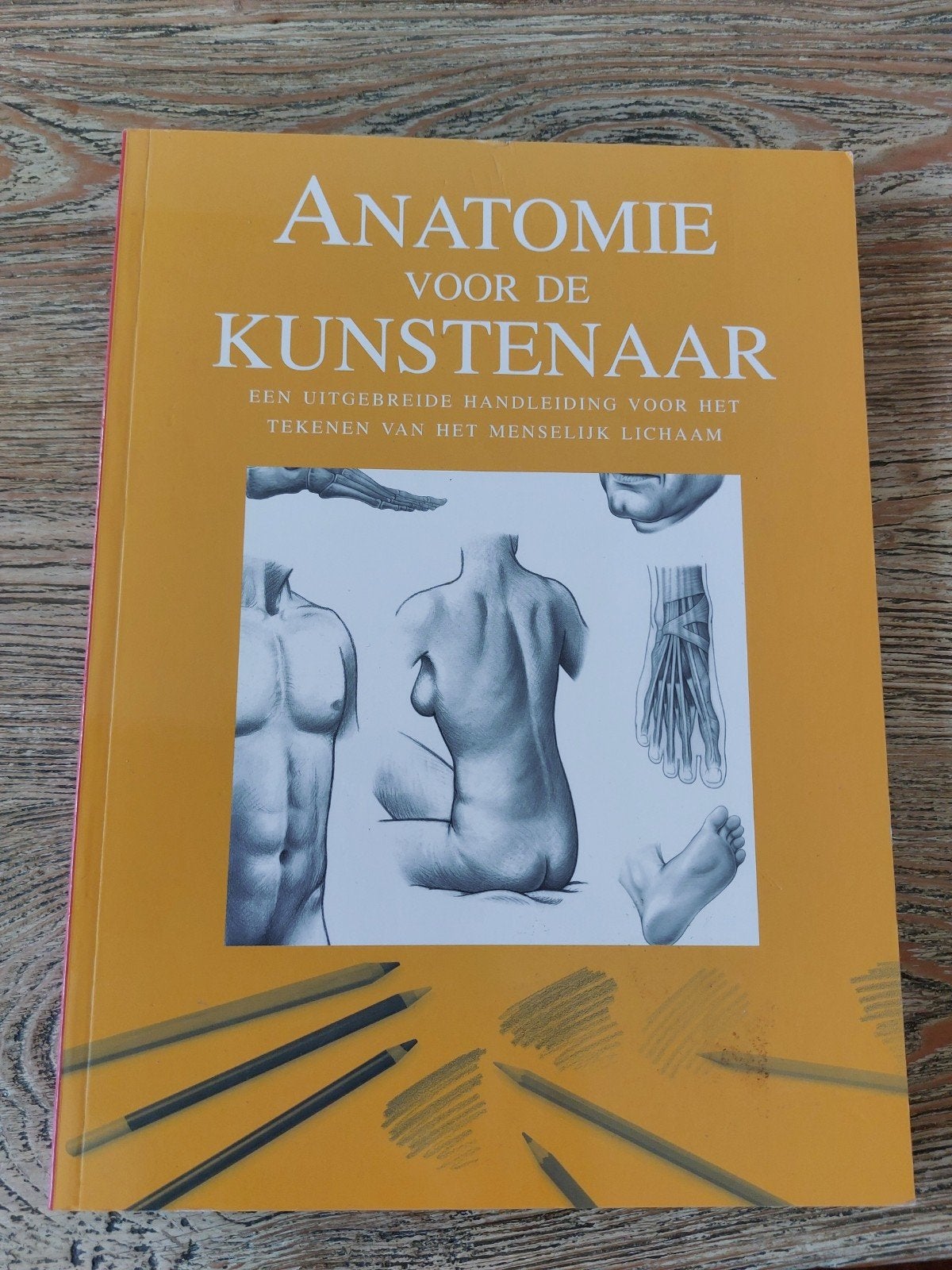Anatomie voor de kunstenaar - Uitgebreide handleiding, Boeken, Ophalen of Verzenden