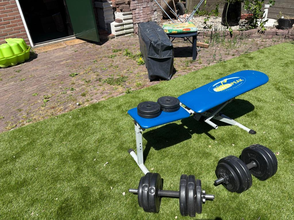 Fitnessbank met dumbbells en halterschijven, Ophalen, Gebruikt, Armen, Fitnessbank
