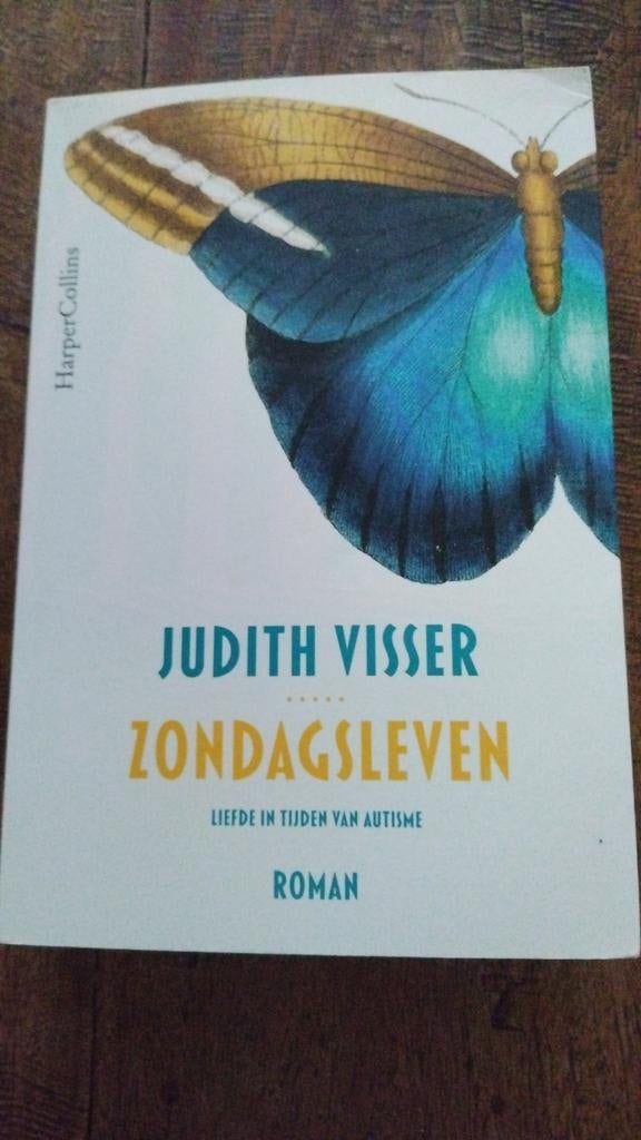 Zondagsleven - Judith Visser (Roman), Boeken, Ophalen of Verzenden, Gelezen, Judith Visser, Nederland