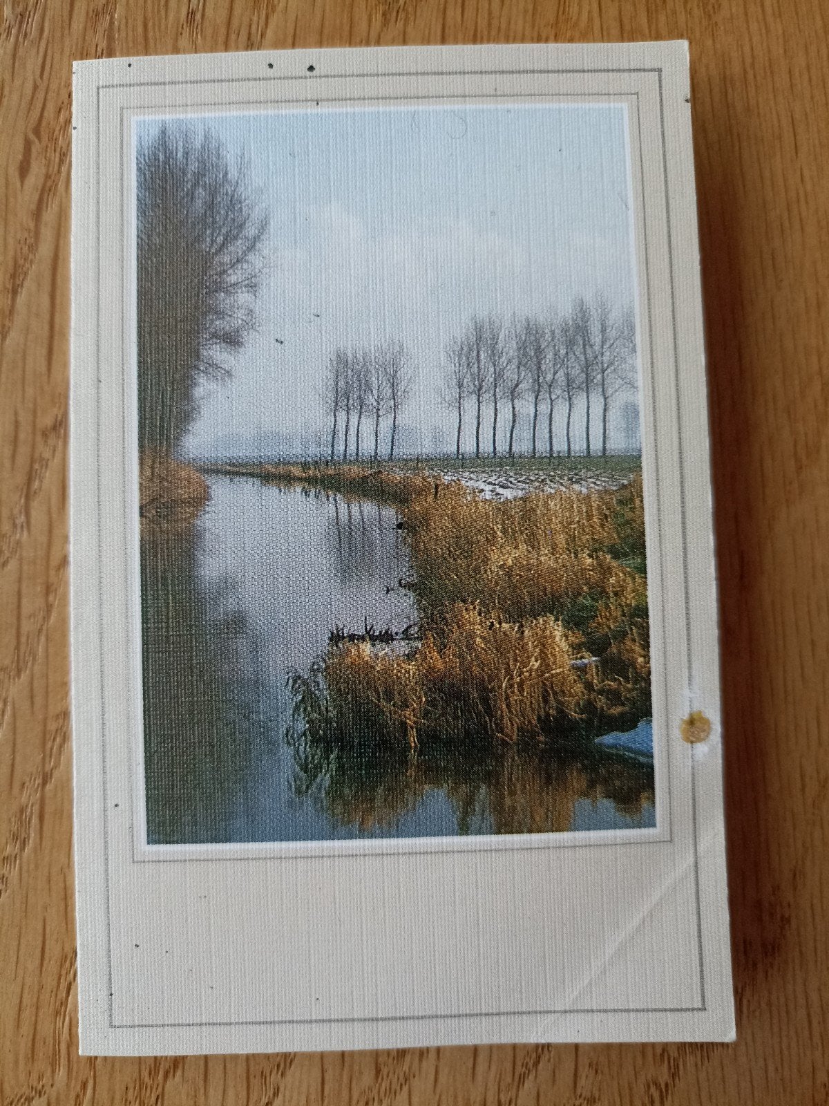 Bidprentje Zr. Agnita Catharina Henrica Johanna Kramer, Verzenden, Bidprentje