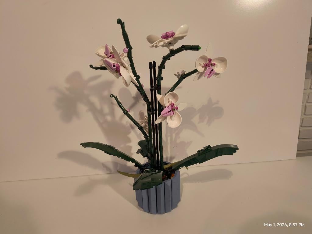 LEGO Botanicals 10311 Orchid compleet set, Ophalen of Verzenden, Zo goed als nieuw, Complete set, Lego