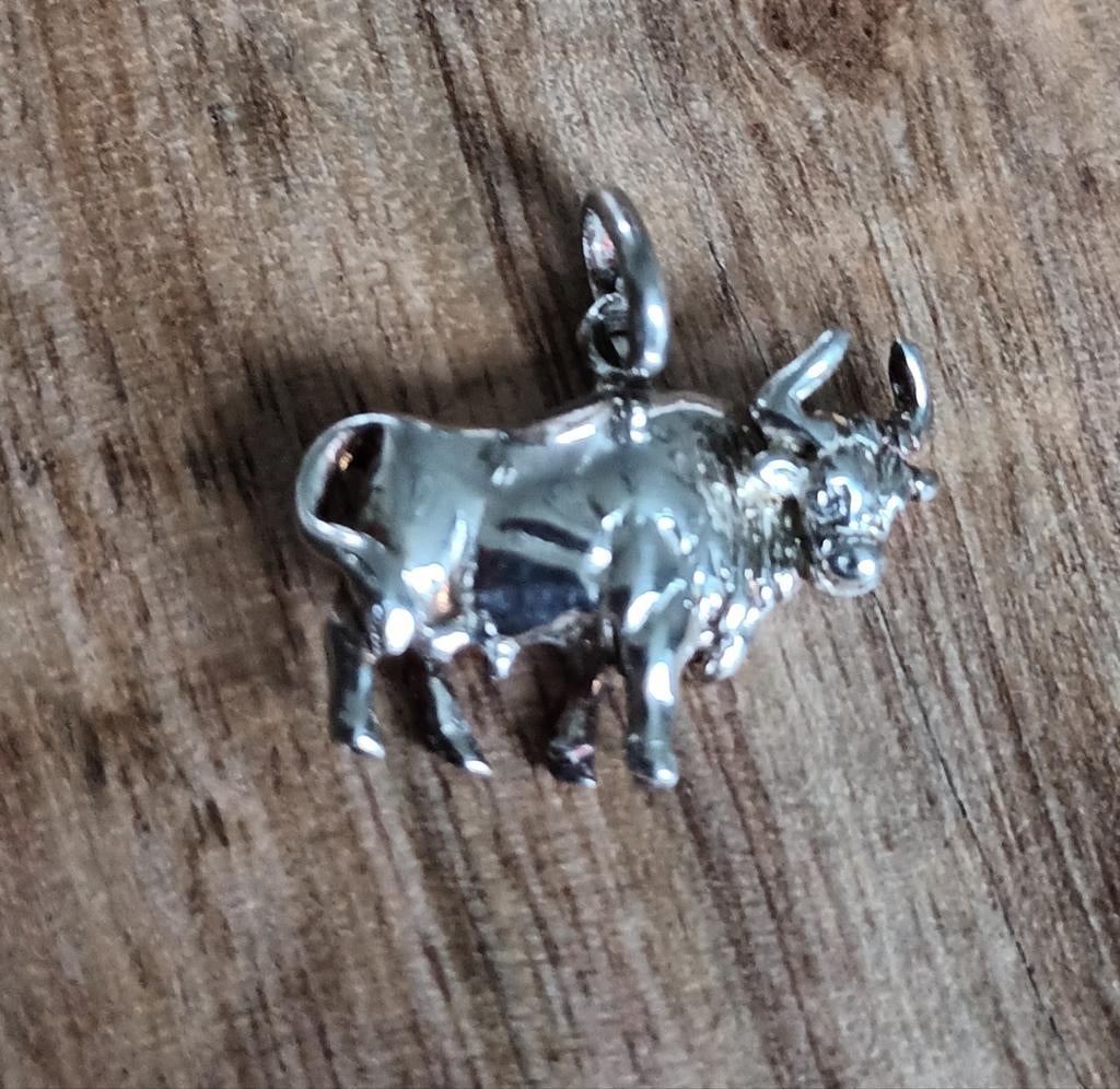 Zilveren Stier  sterrenbeeld hanger - Krachtig Symbool, Ophalen of Verzenden, Zo goed als nieuw, Kruis of Symbool, Zilver