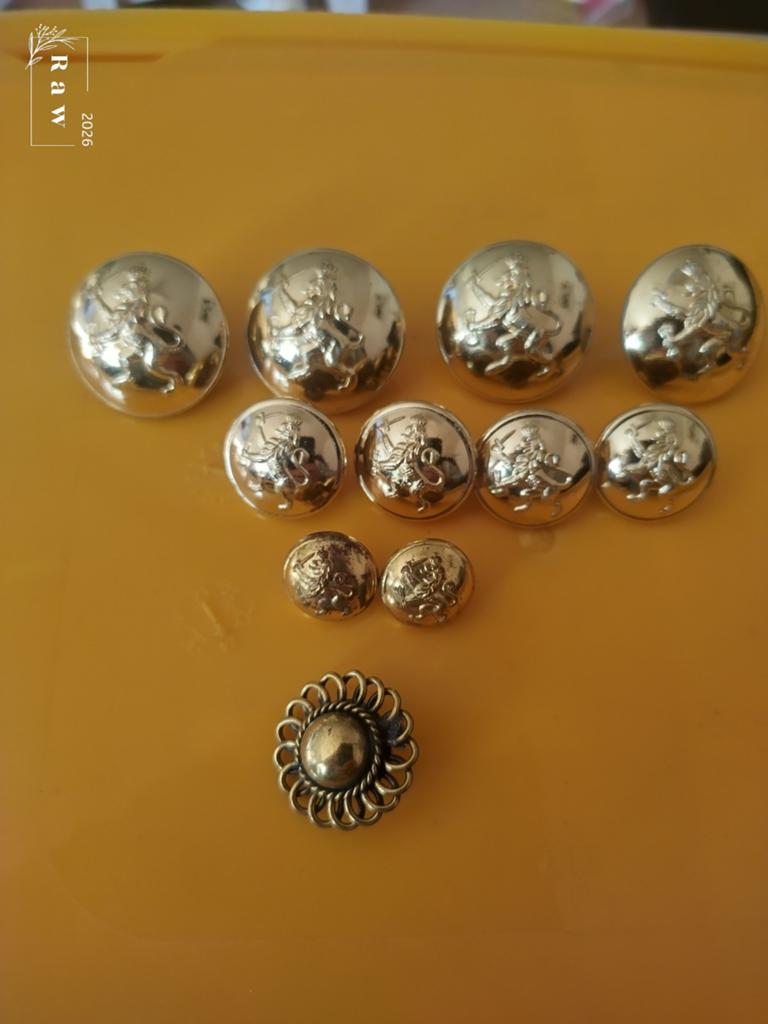 Set van 11 gouden knopen met leeuw en 1 decoratieve knoop, Verzamelen, Militaria | Algemeen, Ophalen of Verzenden