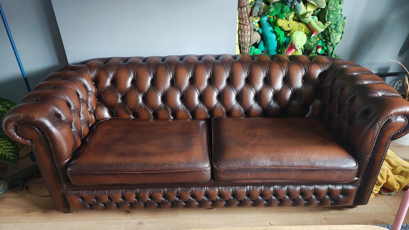 Springvale Chesterfield 2-zits bank bruin leer, Ophalen, Gebruikt, Tweepersoons, Rechte bank
