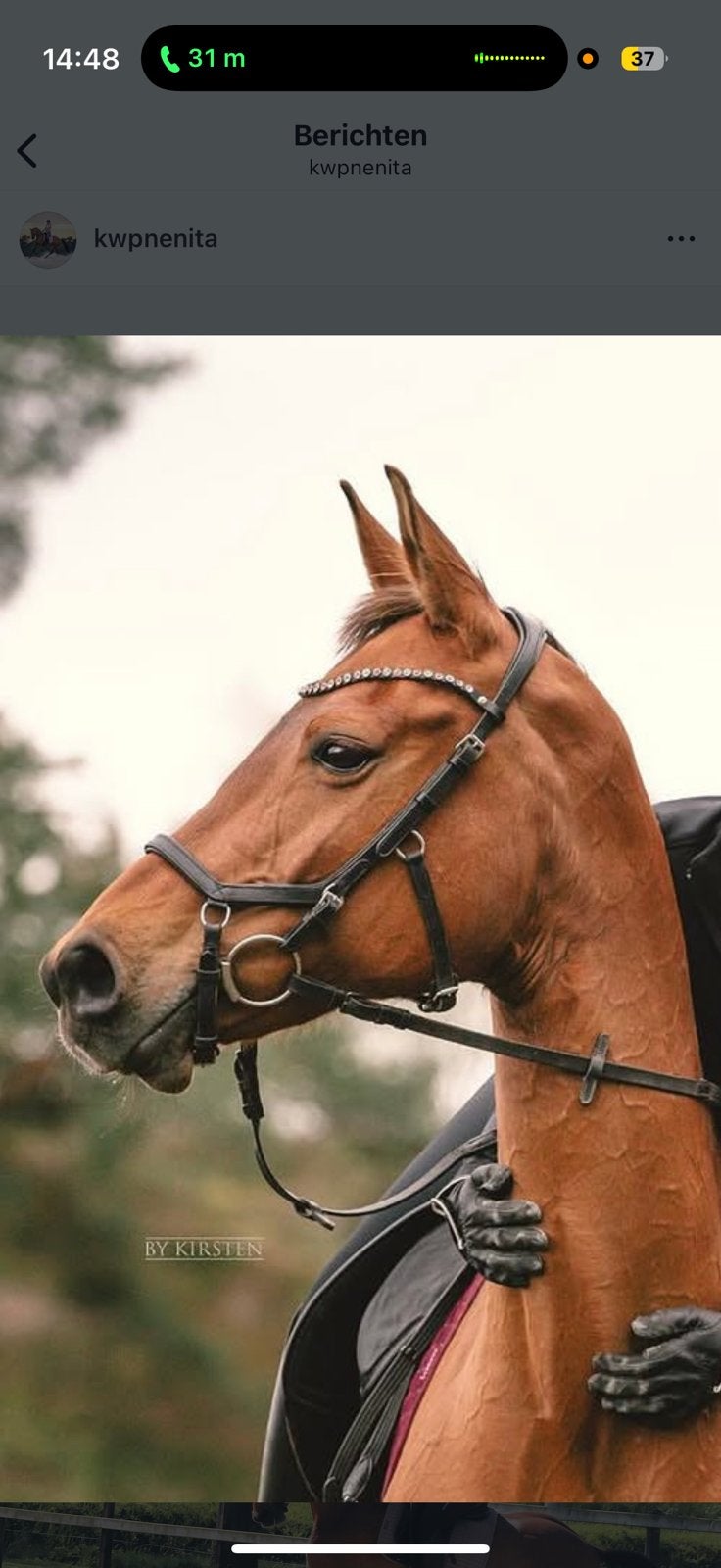 Rambo Micklem competition Bridle Cob, Gebruikt, Rambo, Ophalen of Verzenden, Zwart