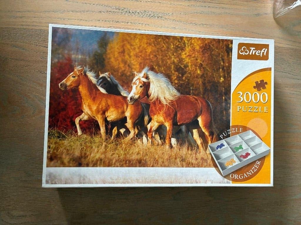 legpuzzel 3000 stukjes, Ophalen of Verzenden, Meer dan 1500 stukjes, Gebruikt