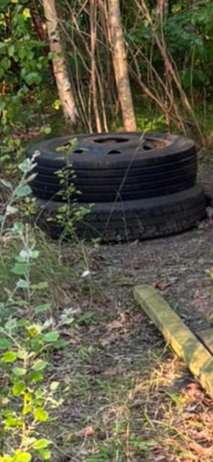 2 velgen 16inch voor Mercedes bus, Caravans en Kamperen, Ophalen