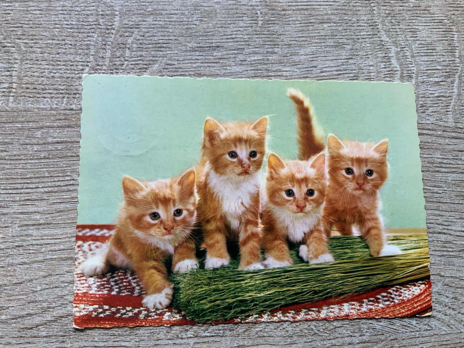 Oude ansichtkaart met schattige rode kittens, Ophalen of Verzenden, 1960 tot 1980, Gelopen