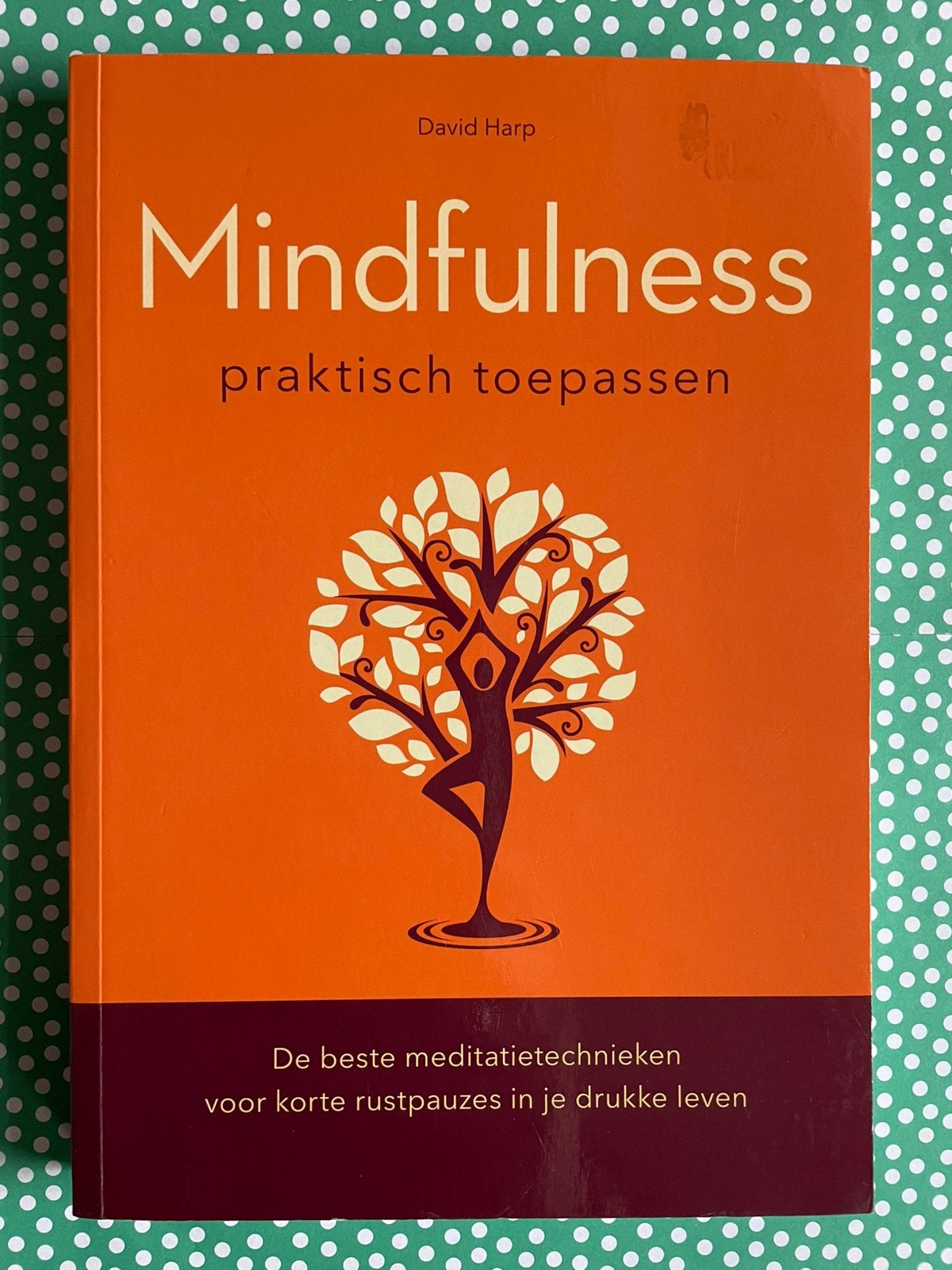 Mindfulness - praktisch toepassen, door David Harp, Ophalen of Verzenden, Zo goed als nieuw, Overige onderwerpen