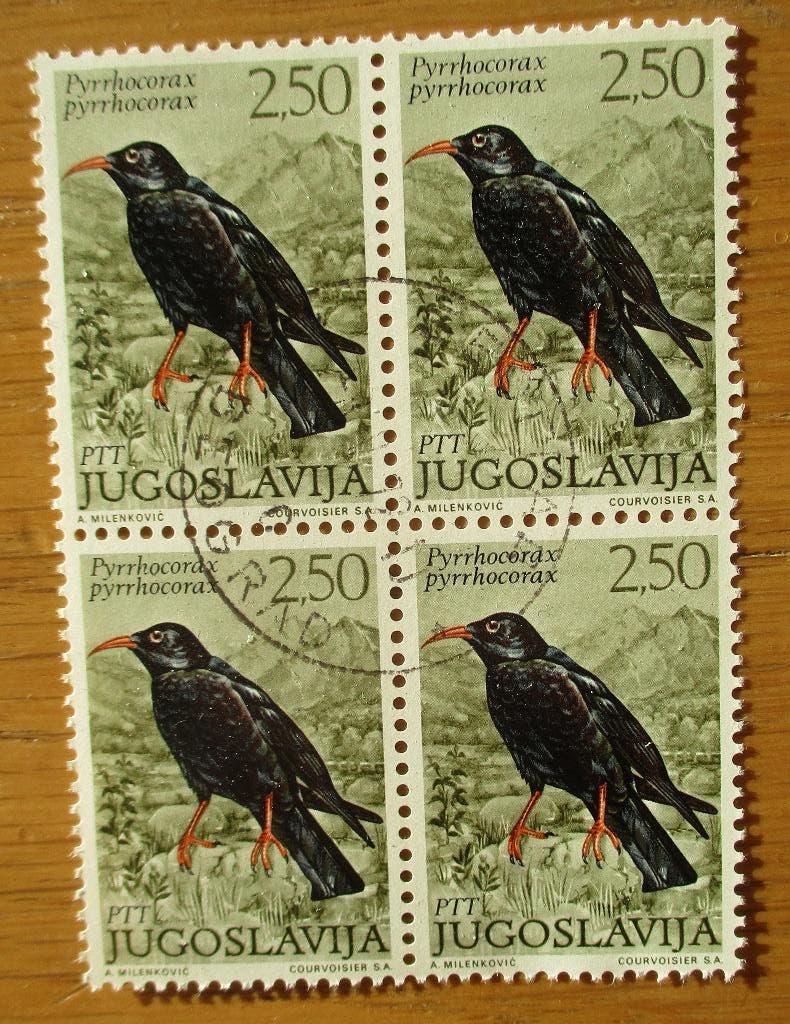 Joegoslavië, Alpenkraai, blokje van vier, Verzenden, Gestempeld, Dier of Natuur