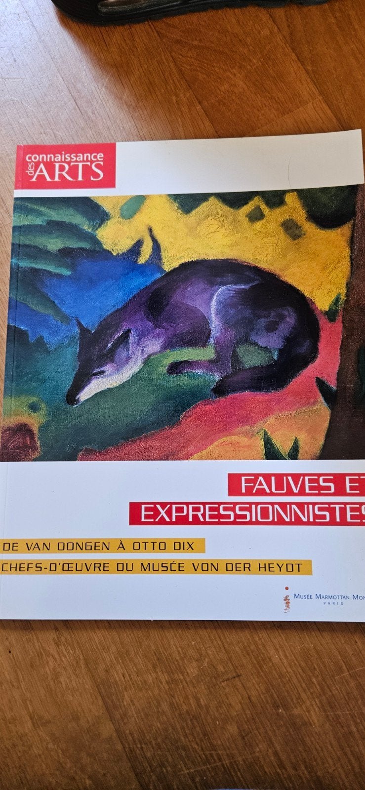 Fauves et Expressionnistes: Van Dongen à Otto Dix, Ophalen of Verzenden, Zo goed als nieuw, Schilder- en Tekenkunst, Connaissance des Arts