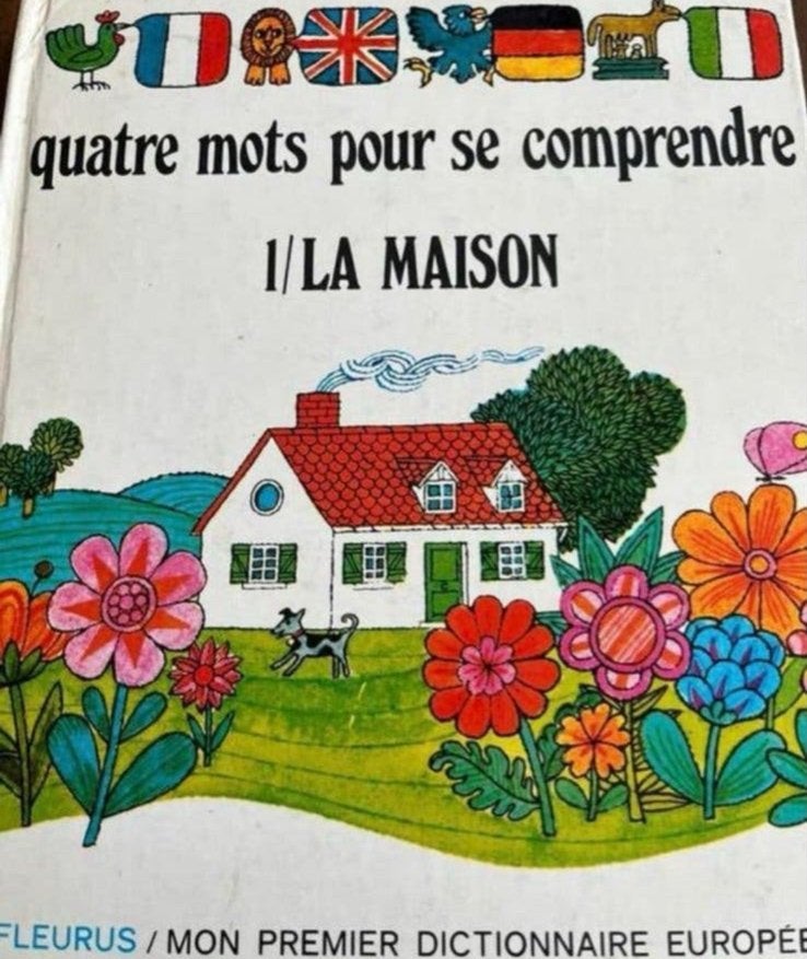 Mijn Eerste Europees Woordenboek: La Maison (Fleurus), Boeken, Kinderboeken | Jeugd | onder 10 jaar, Ophalen of Verzenden, Gelezen
