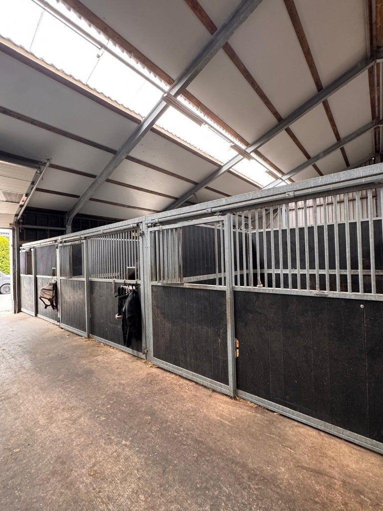 6 volledige boxen met volledig opendraaibare voorwanden, Weidegang, 4 paarden of pony's of meer