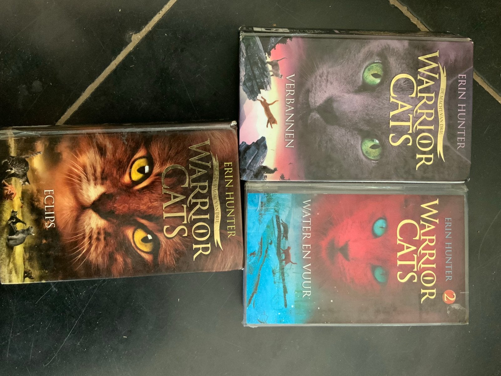 Warrior Cats Boeken - Deel 2, 3 en 4, Ophalen of Verzenden, Gelezen, Nederland