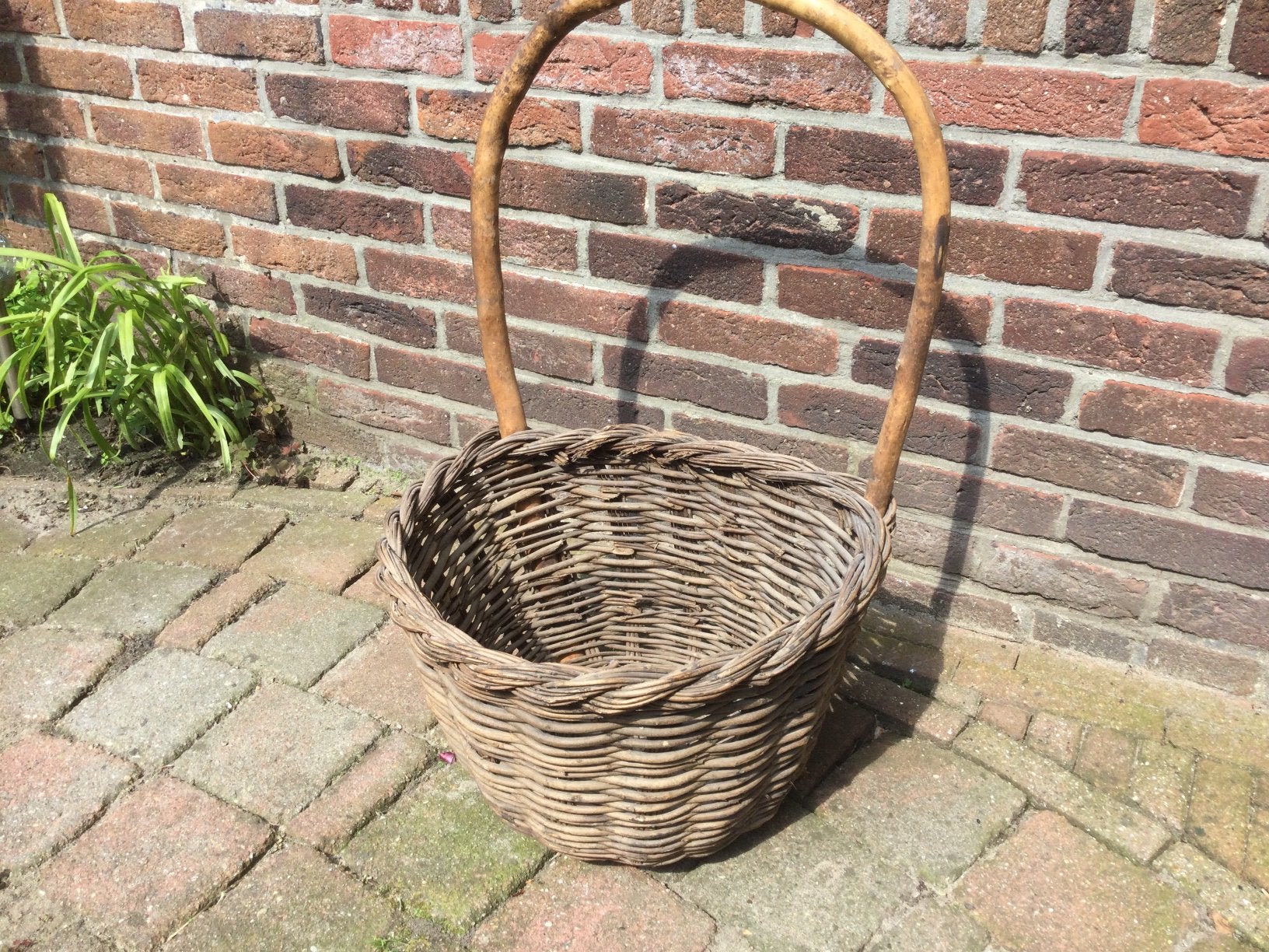 Wilgentenen plukmand - mand met houten hengsel, Ophalen, Rond, Riet