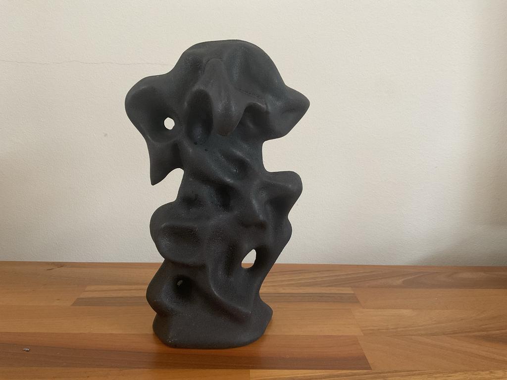 Zwarte sculptuur met organische vormen, Antiek en Kunst, Kunst | Designobjecten, Ophalen of Verzenden