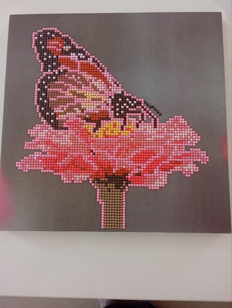 Vlinder diamond painting canvas (al gemaakt), Ophalen