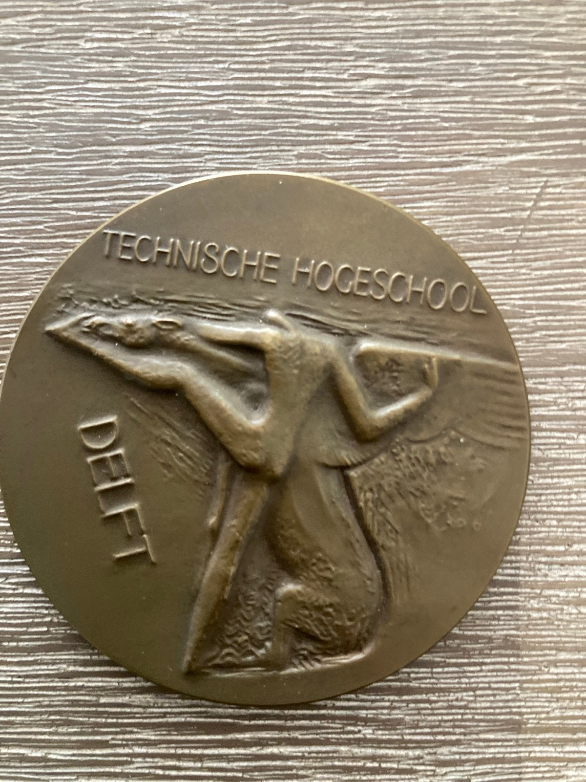 Historische Medaille TU Delft 1905-1955, Postzegels en Munten, Penningen en Medailles, Ophalen of Verzenden, Brons, Nederland