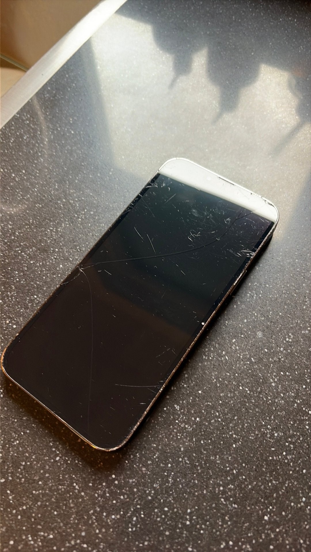 iPhone 13 Pro Max | Beschadigd, Telecommunicatie, Mobiele telefoons | Apple iPhone, Zo goed als nieuw, 128 GB, Ophalen