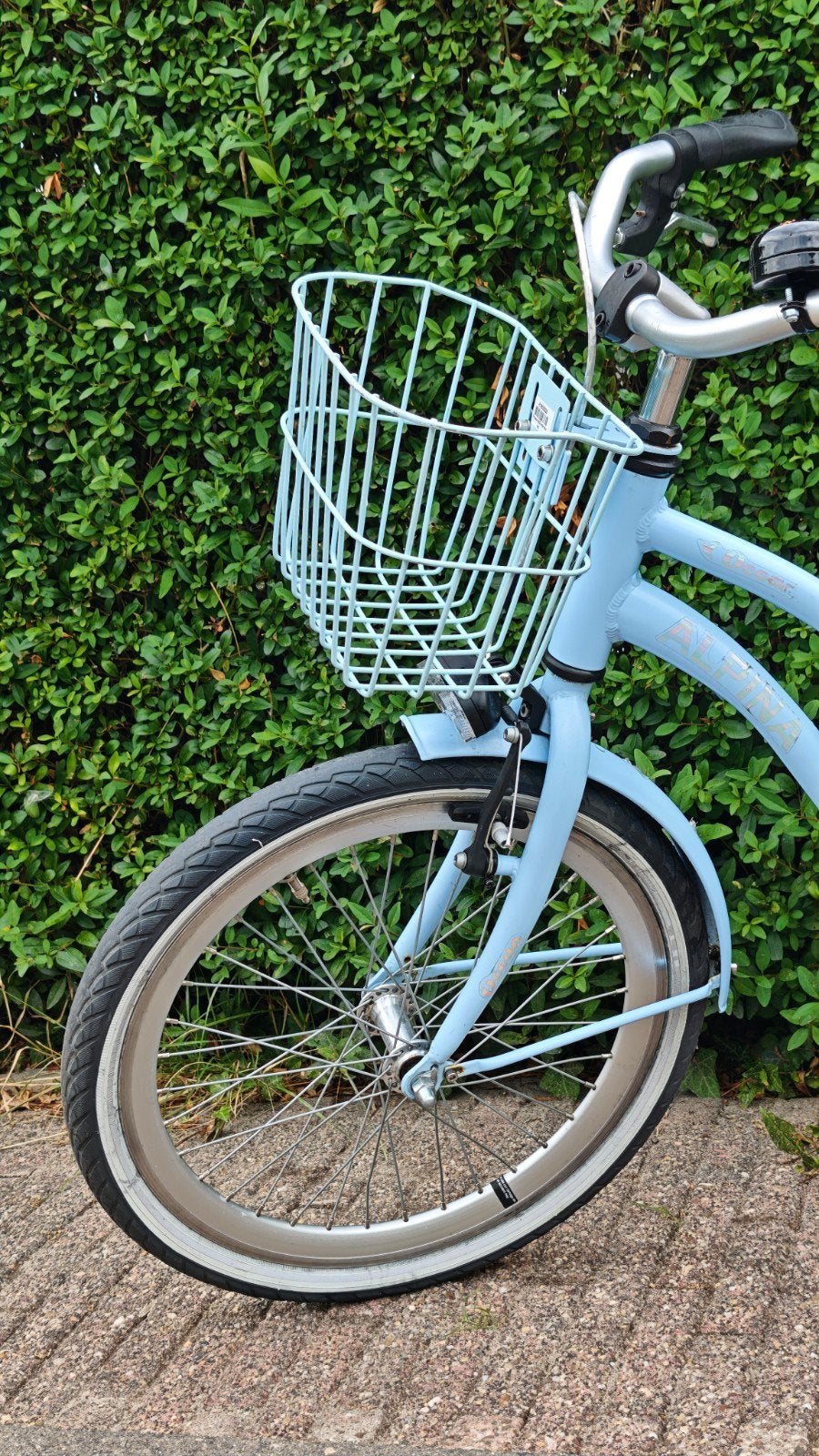 Alpina Ocean 20 inch kinderfiets met mandje, Fietsen en Brommers, Ophalen, Gebruikt, Velgrem, Alpina