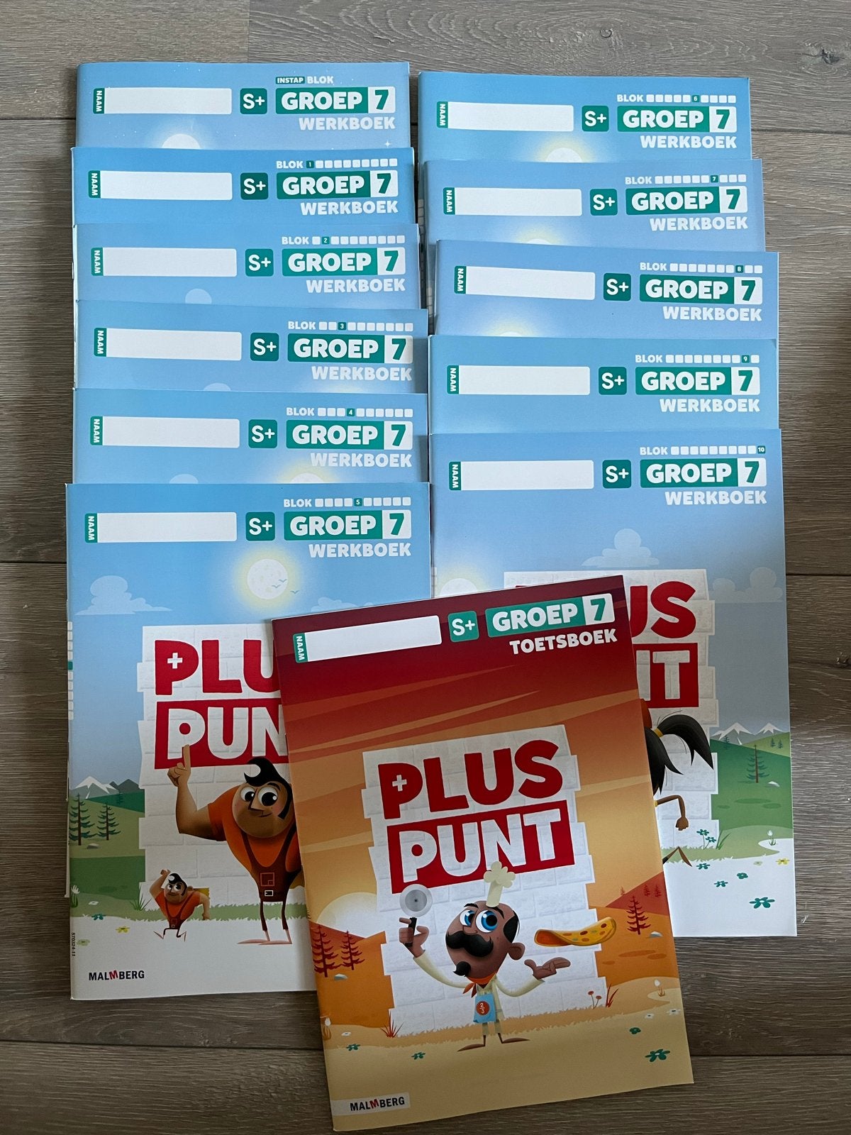 Pluspunt Groep 7 Werkboeken en Toetsboek (Malmberg), Ophalen of Verzenden, Zo goed als nieuw, Overige niveaus, Overige vakken