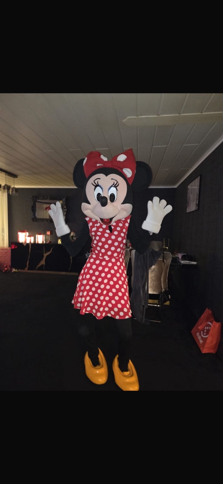 Mascotte mini mouse, Ophalen of Verzenden, Zo goed als nieuw