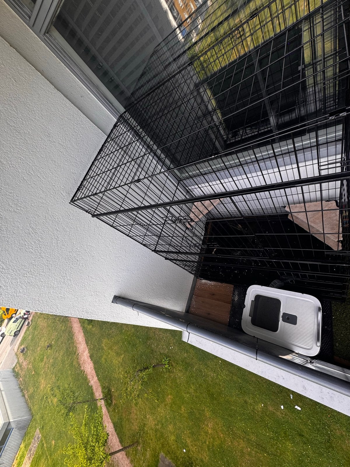 For seling, Dieren en Toebehoren, Poes