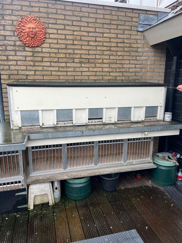 Duiven hokken alles in 1 x verkoop, Dieren en Toebehoren, Vogels | Duiven, Meerdere dieren, Postduif