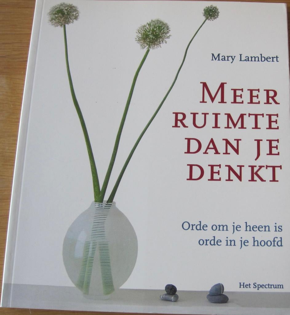 Mary Lambert - meer ruimte dan je denkt - over opruimen, Sociale psychologie, Mary Lambert, Ophalen of Verzenden, Zo goed als nieuw