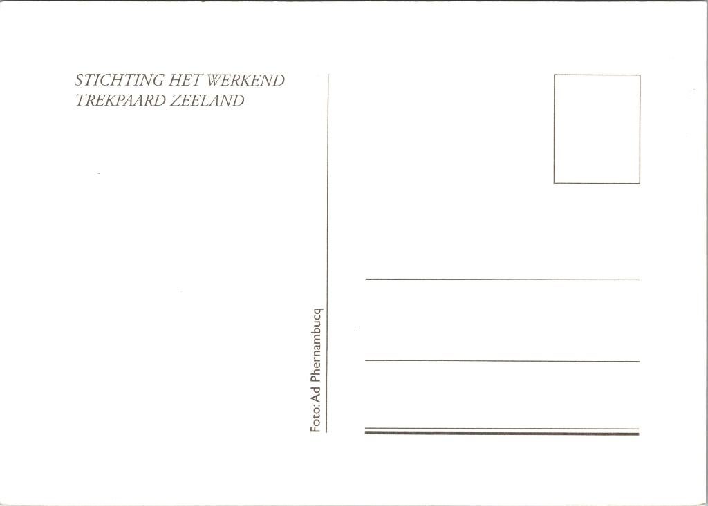 Zeeland - Ovezande trekpaarden (2x), Ophalen of Verzenden, 1960 tot 1980, Ongelopen, Zeeland