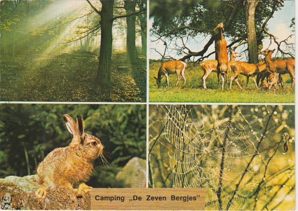 VOORTHUIZEN Camping De Zeven Bergjes, Verzenden, 1960 tot 1980, Gelopen, Gelderland