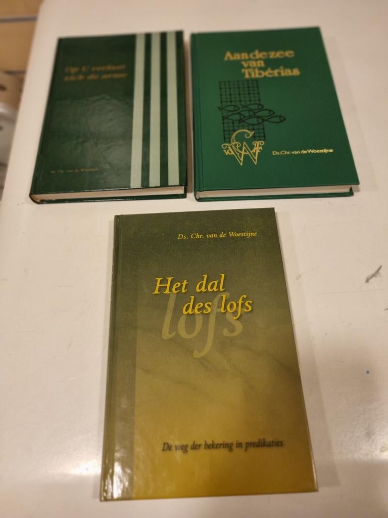 Ds. C. v.d.Woestijne. 3 prekenboeken., Ophalen of Verzenden, Gelezen, Christendom | Protestants