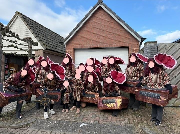 Carnavalskleding Loopgroep - 1e Prijs - 13volw+3kids, Ophalen, Carnaval, Maat 42/44 (L), Kleding