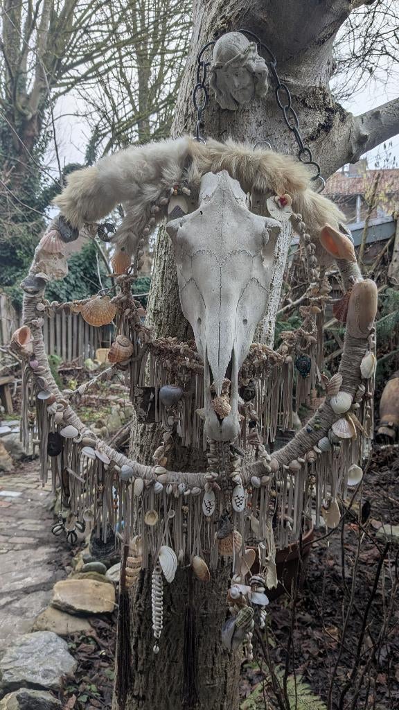Circle of life / HerinneRing ( dromenvanger ), Ophalen, Nieuw