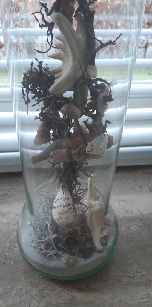 Glazen vaas met decoratie van schelpen en zeesterren, Antiek en Kunst, Ophalen of Verzenden