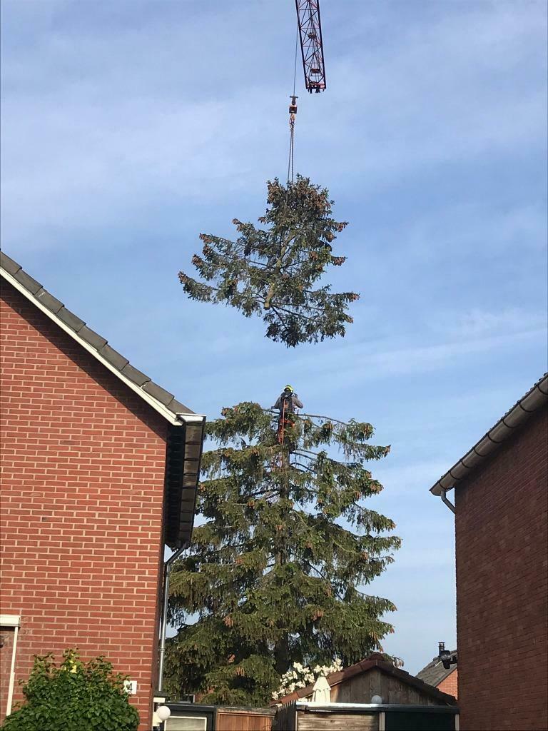 Boomverzorging en landschaps aanleg/onderhoud.