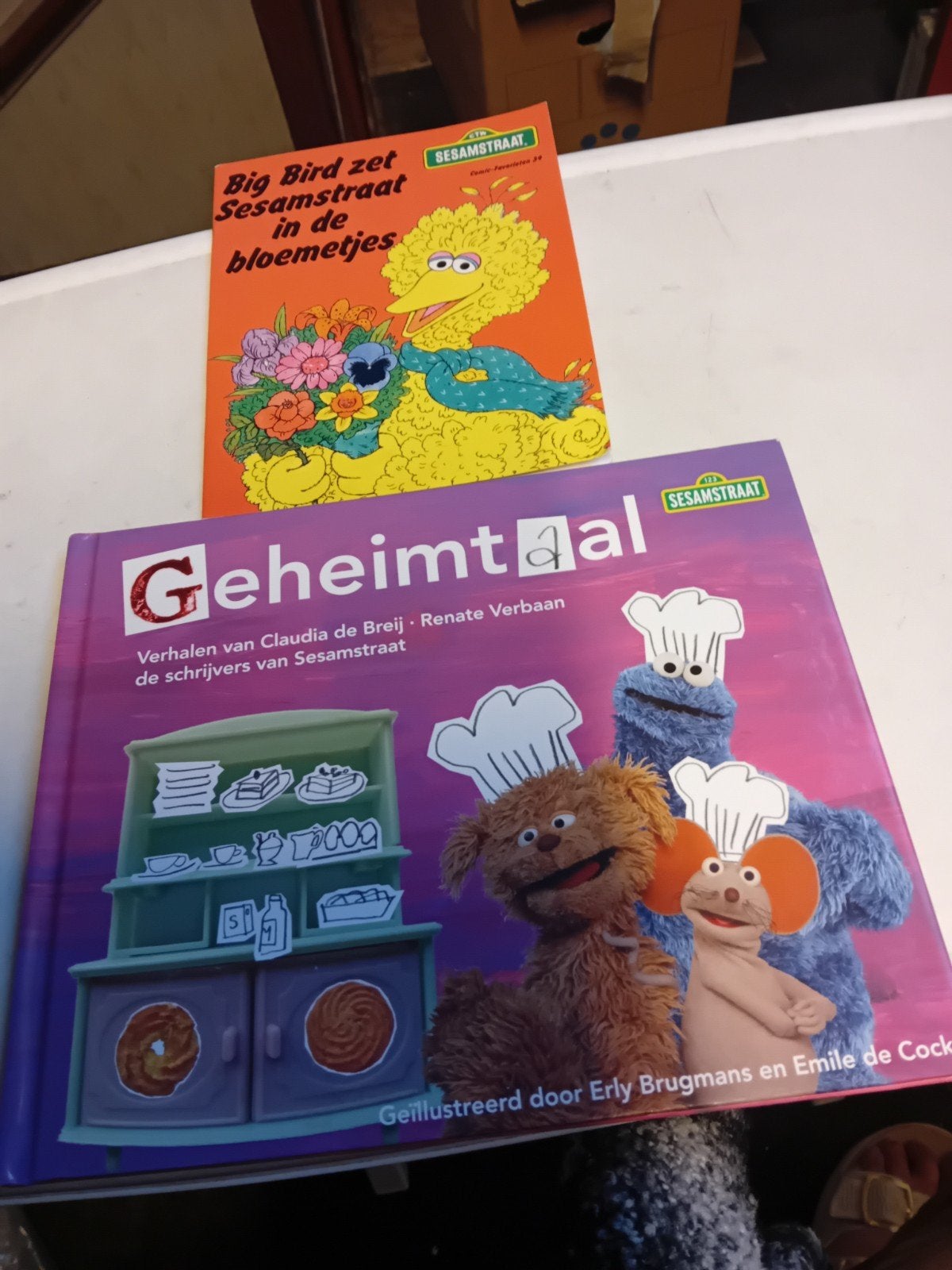 Sesamstraat Boeken: Geheimtaal & Big Bird in de bloemetjes, Ophalen of Verzenden, Zo goed als nieuw, Claudia de Breij, Renate Verbaan