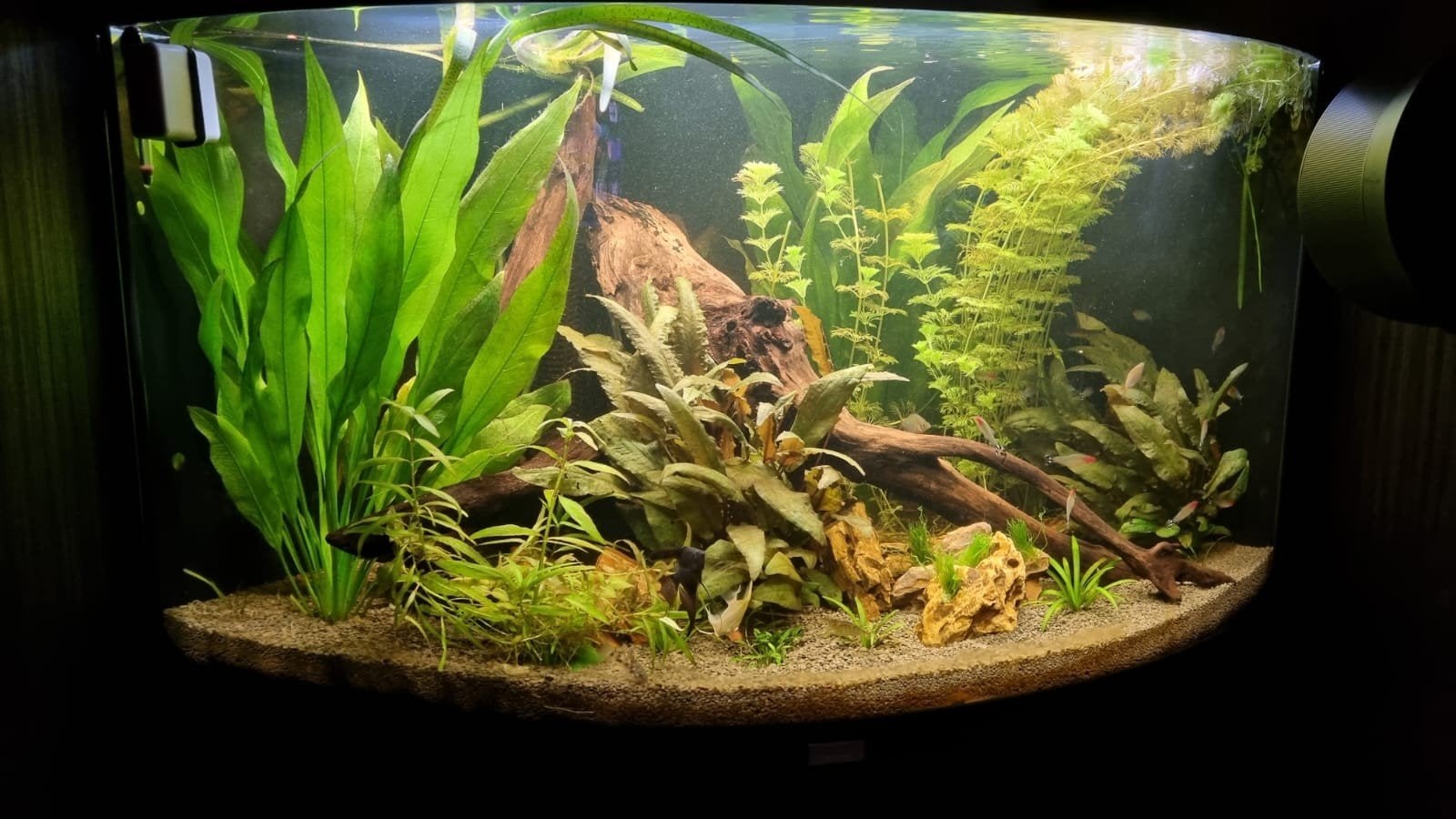 Juwel trigon 190 compleet (zonder vissen en planten), Dieren en Toebehoren, Vis