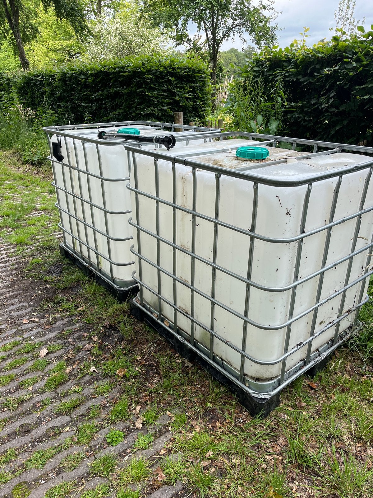 2x IBC Vaten 1000L - Ideaal voor regenwateropvang, 150 liter of meer, Ophalen, Gebruikt, Kunststof