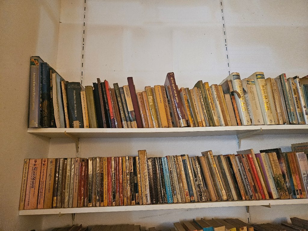 Partij vintage boeken (ca. 200+ stuks) Thrillers-Literatuur, Boeken, Ophalen, Gelezen, Verschillende onderwerpen