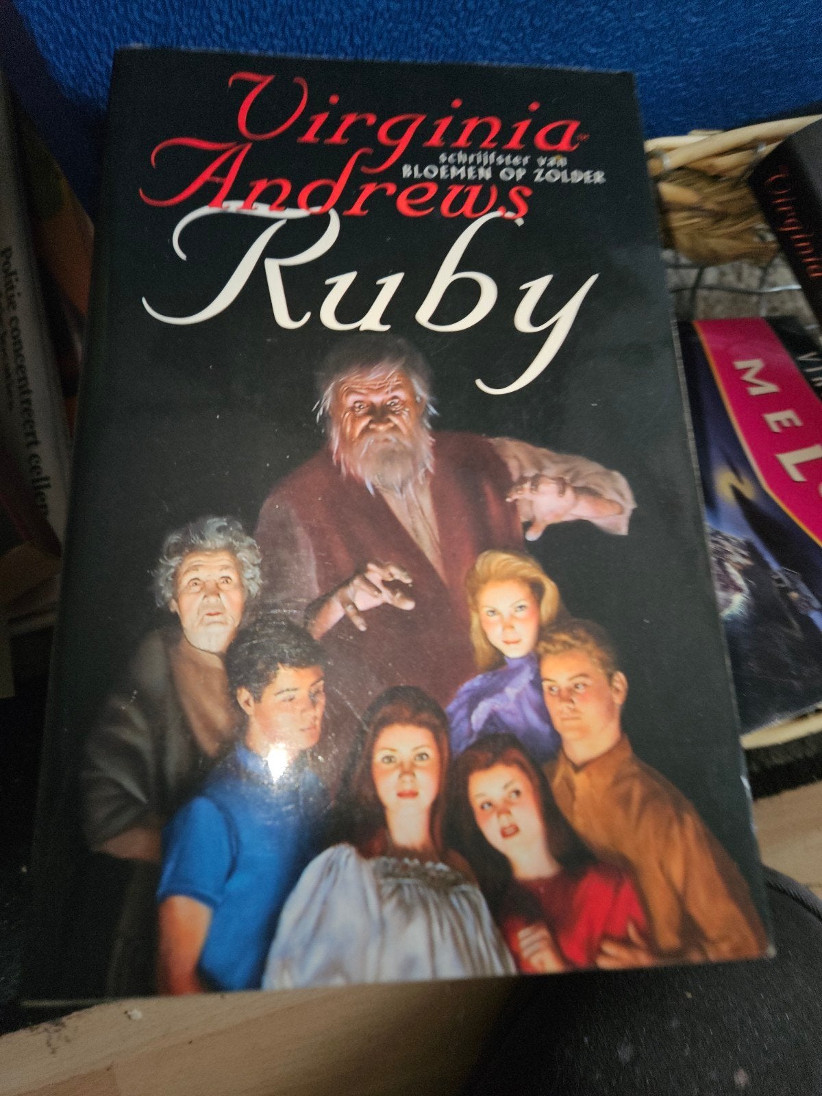Ruby - Virginia Andrews (Paperback, 320 blz.), Boeken, Ophalen, Gelezen, Virginia Andrews