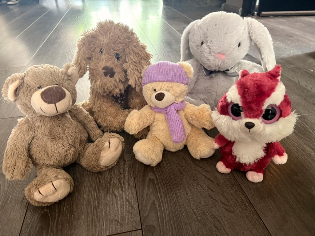 Diverse knuffels, Ophalen of Verzenden, Zo goed als nieuw, Overige typen
