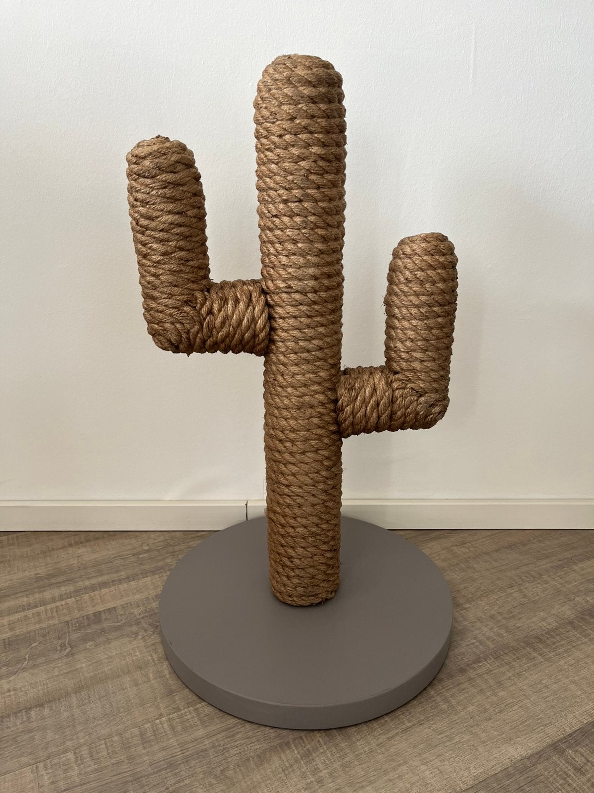 Krabpaal cactus, Ophalen, Zo goed als nieuw, Krabpaal