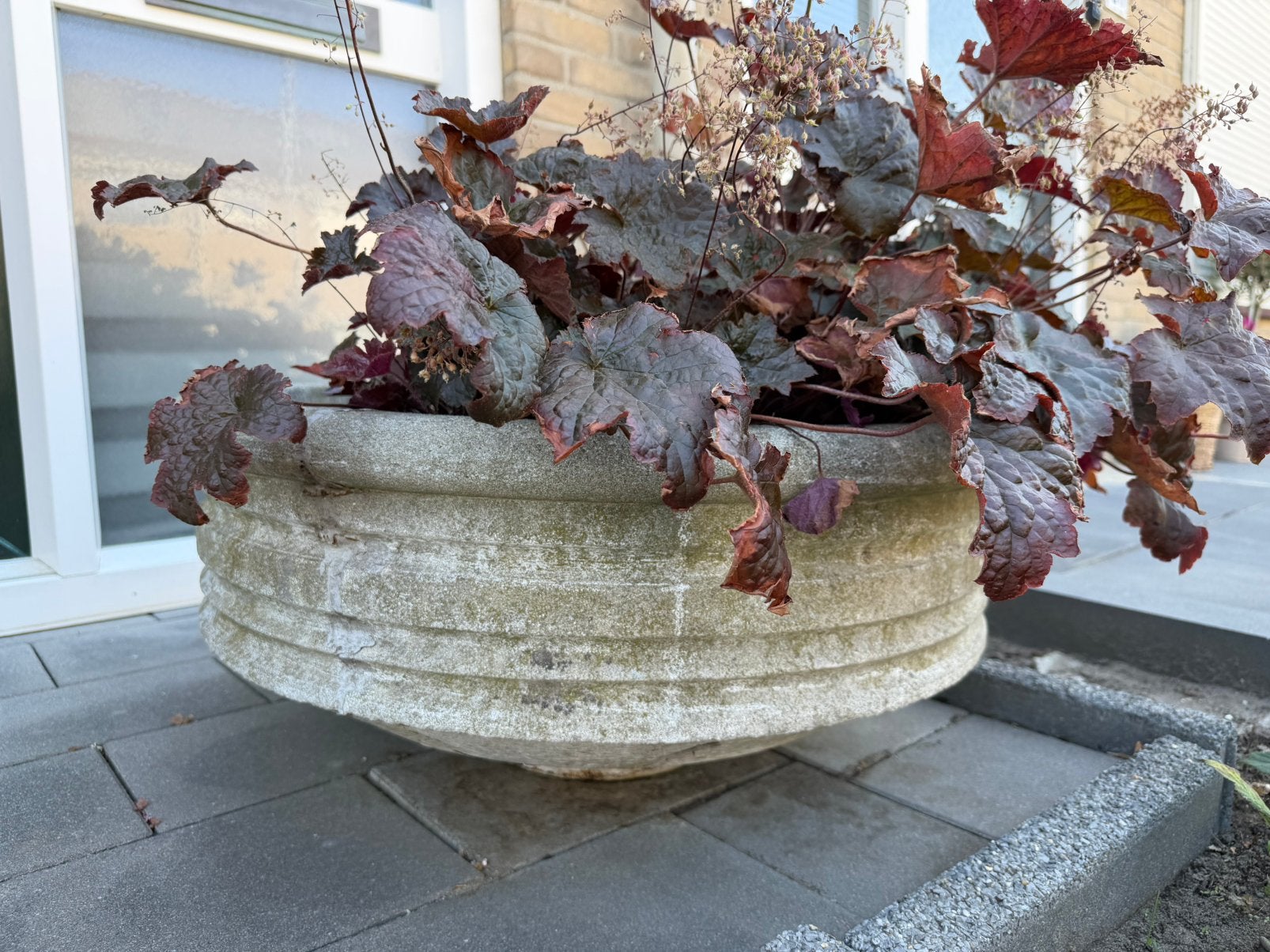 Vintage plantenschaal beton Ø 70cm, Tuin en Terras, Ophalen, Gebruikt, Rond, Balkon