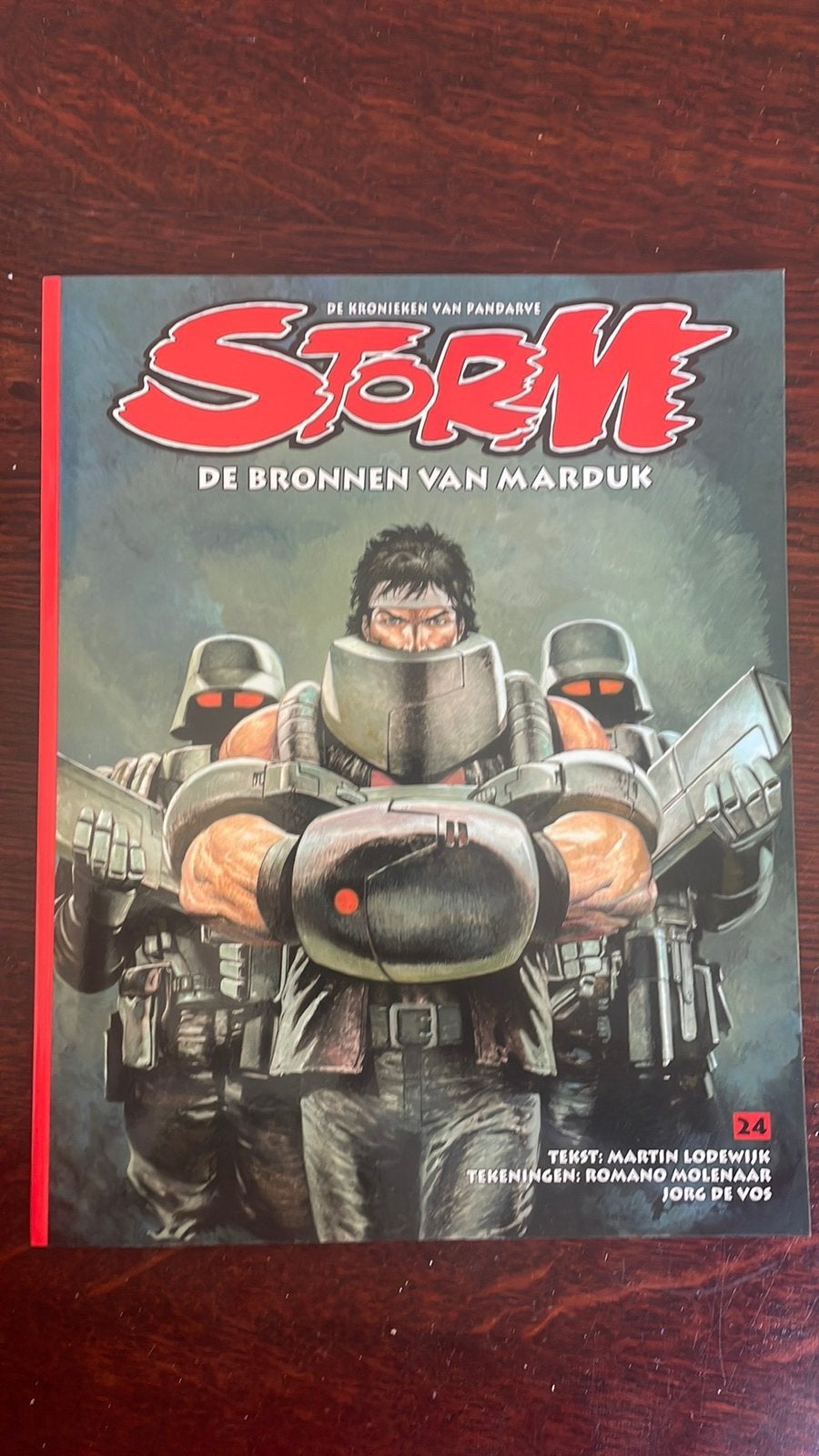 Storm - de kronieken van pandarve - De bronnen van Marduk, Boeken, Eén stripboek, Ophalen of Verzenden, Zo goed als nieuw, Martin Lodewijk