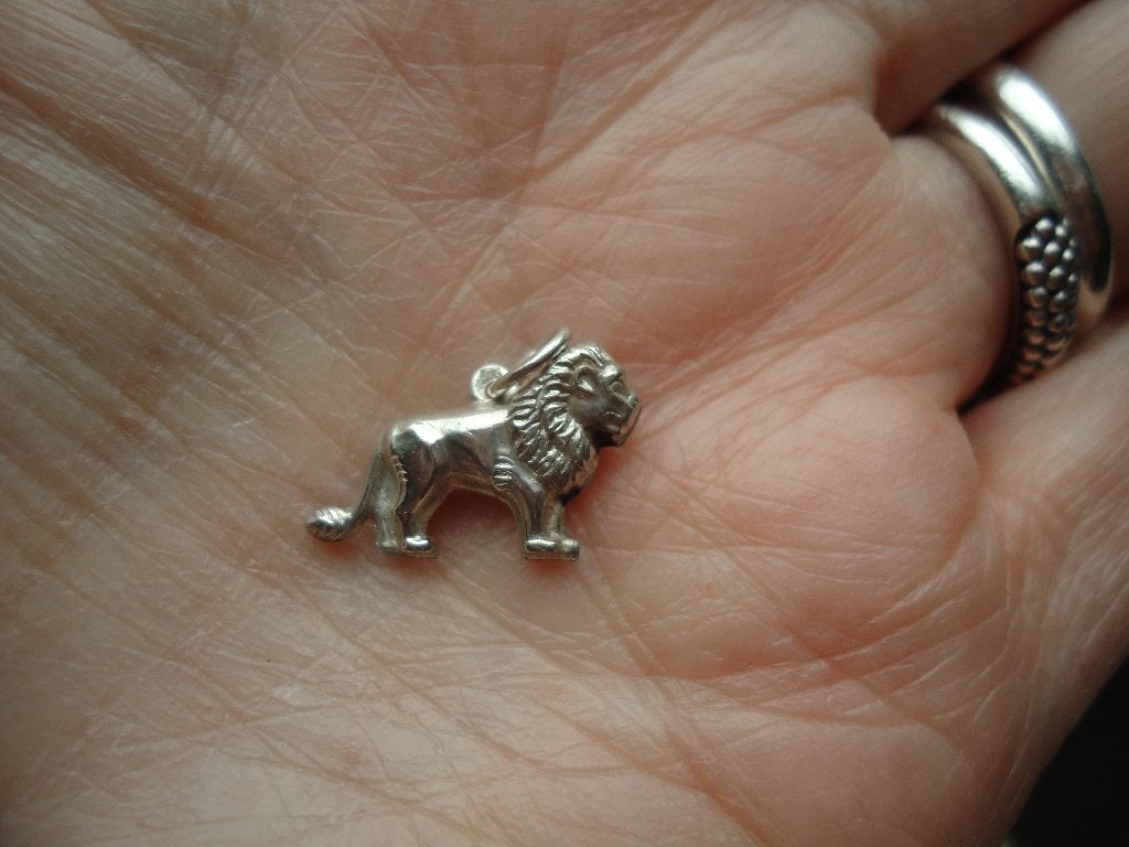 mooi echt zilveren bedeltje leeuw gedetailleerd  frankrijk, Ophalen of Verzenden, Zo goed als nieuw, Zilver, Overige merken